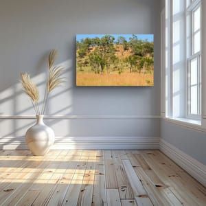 Golden Grasses &amp; Blue Sky | Kimberley Landscape Wall Art: Download: Digital Photography