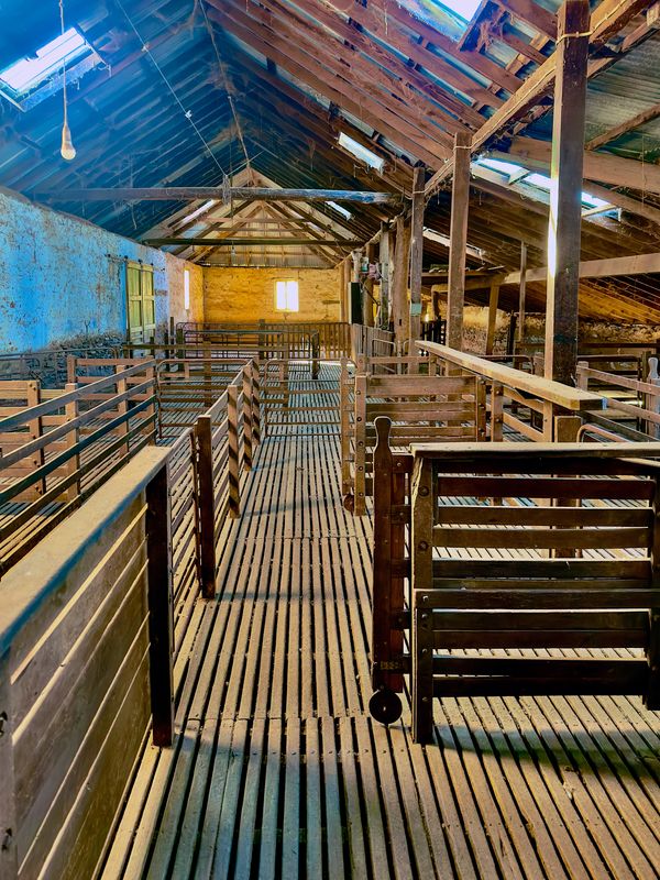 Historic Australian Shearing Shed - Ryelands Clare, South Australia