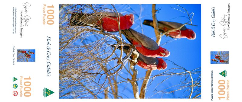 Pink &amp; Grey Galahs
