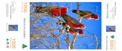 Pink &amp; Grey Galahs