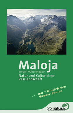 Maloja, Paesaggio di un valico fra natura e cultura NF-037