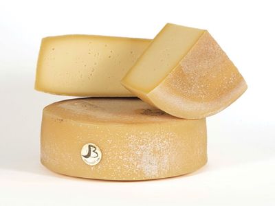 Latteria Bregaglia BIO Formaggio Bregaglia giovane F-005