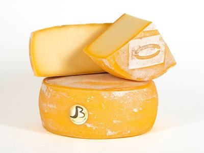 Latteria Bregaglia BIO Formaggio Bregaglia Magnoca F-007