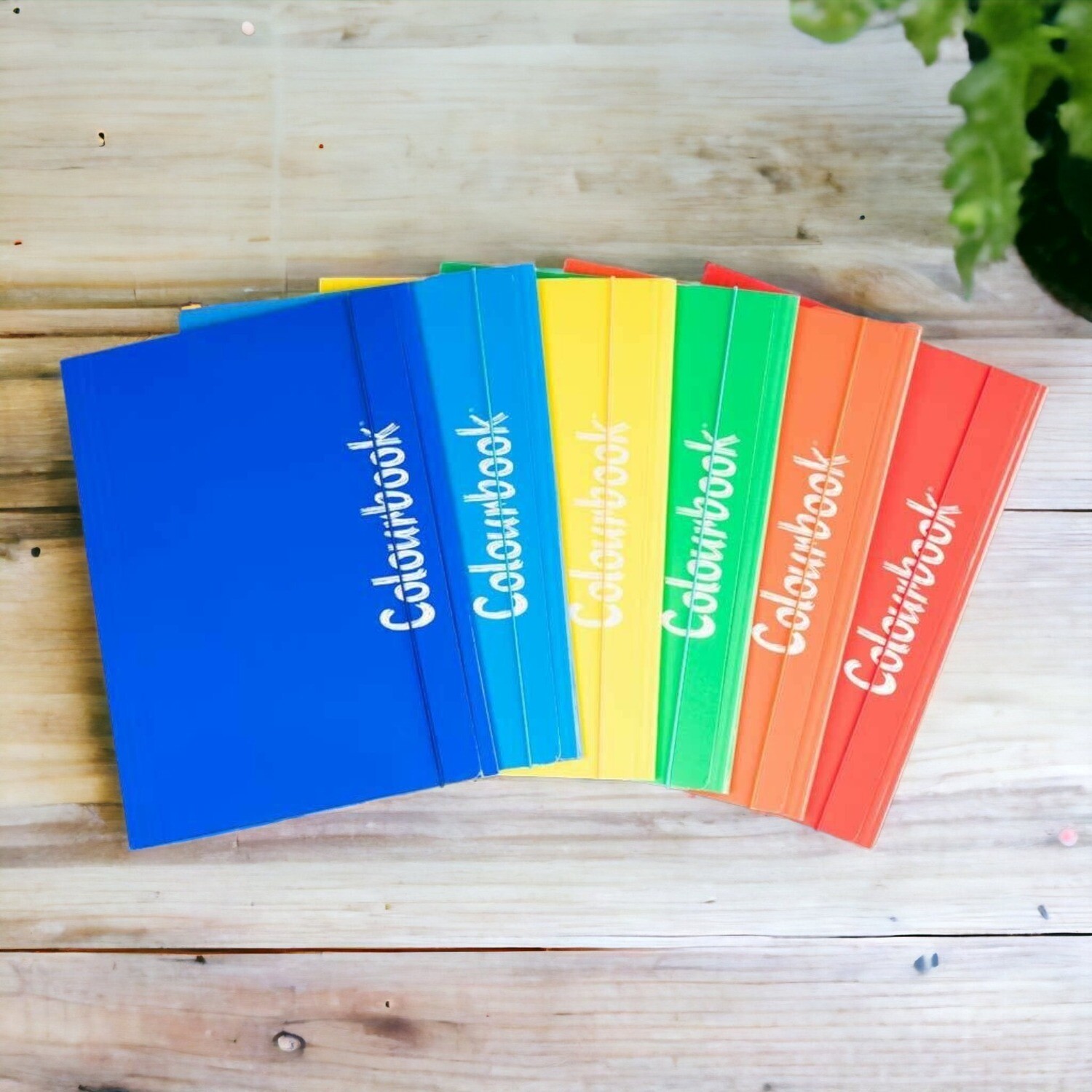 Colourbook Cartella A4 con Elastico: Organizzazione e Stile per il Tuo Ufficio