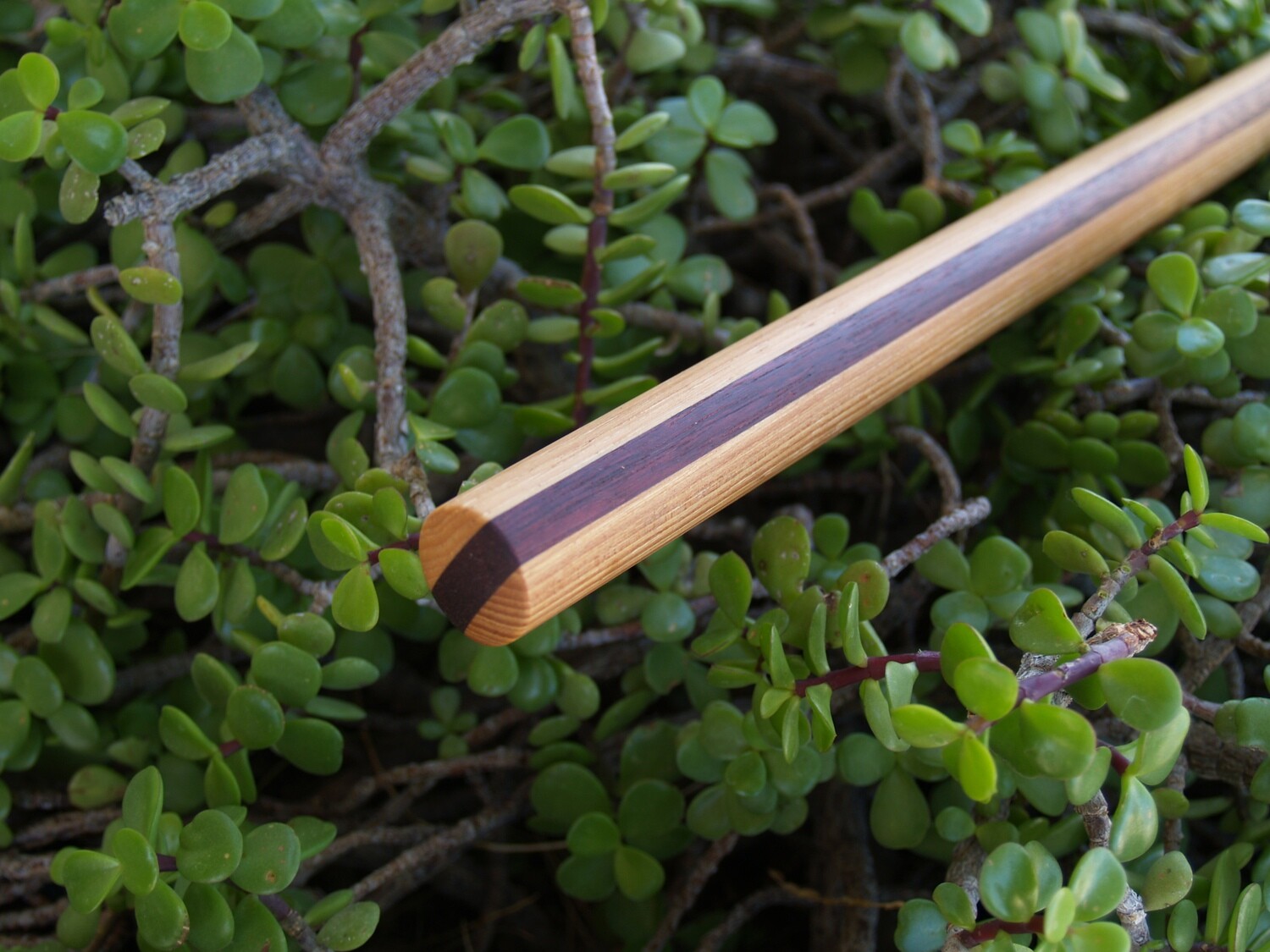 READYTOSHIP Jo Staff Hickory/Purpleheart/Hickory 501/8"