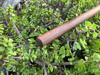 READY-TO-SHIP Jo in IPE - 50-1/8"