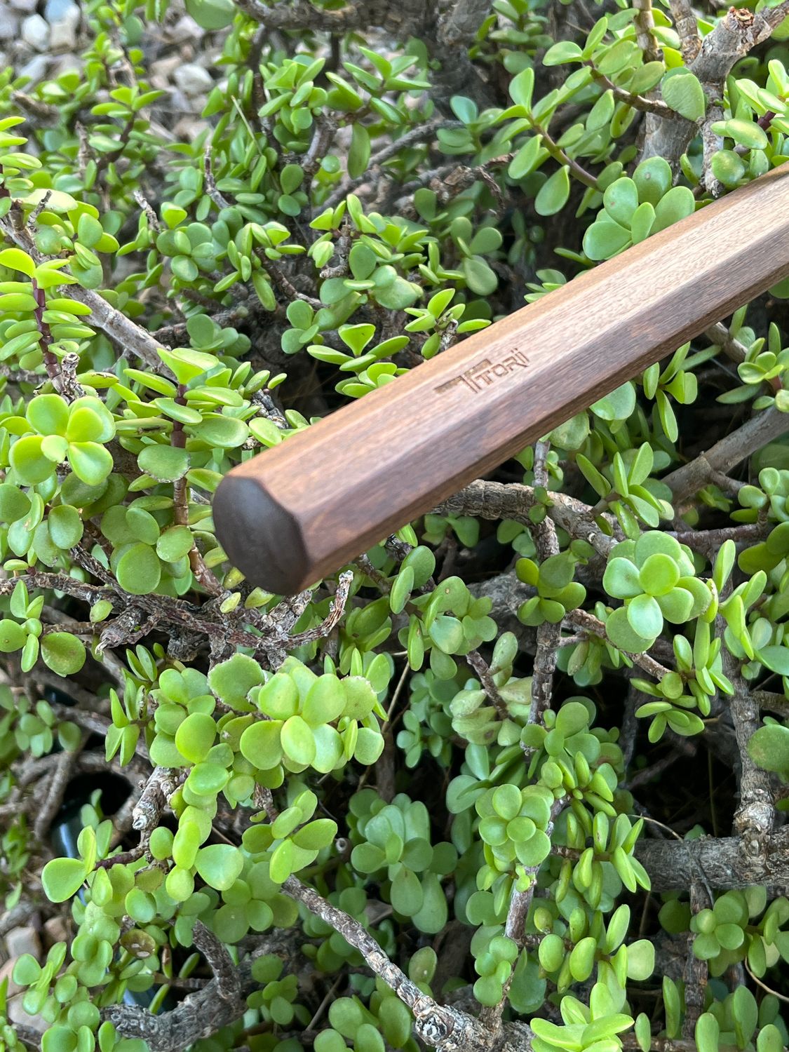 READY to SHIP. Jo- 50-1/8" Octagonal, 1" wide, in Laminated Ipe