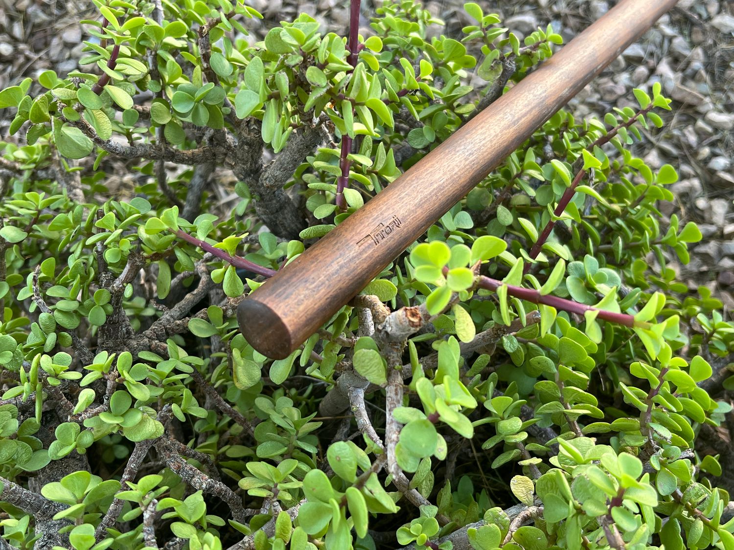 READY-TO-SHIP Jo in IPE - 50-1/8"