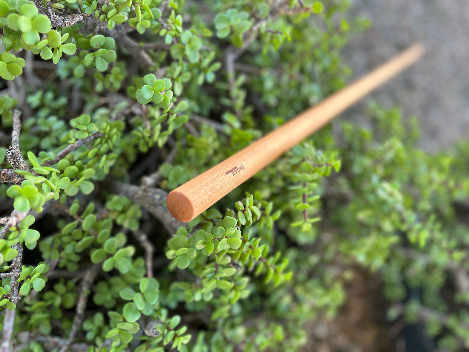 READY-TO-SHIP Jo in Patagonian Rosewood - 50-1/8"