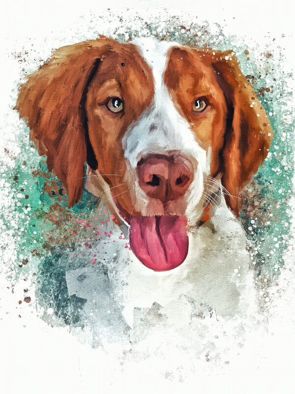 CUSTOM PET PAINTING 