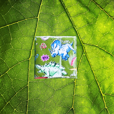 Cover Pixiebook Wax Cloth Dino