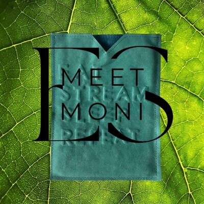GADGET COVER MONI