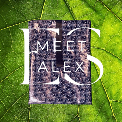 TABLET/LAPTOP COVER ALEX