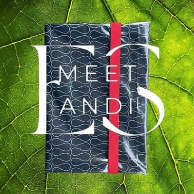 COVER ANDI