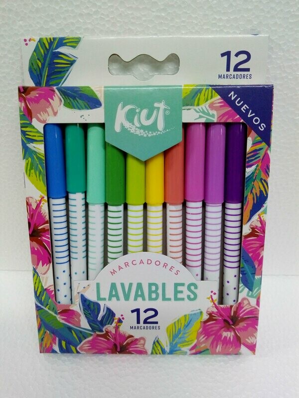 Estuche de Plumones