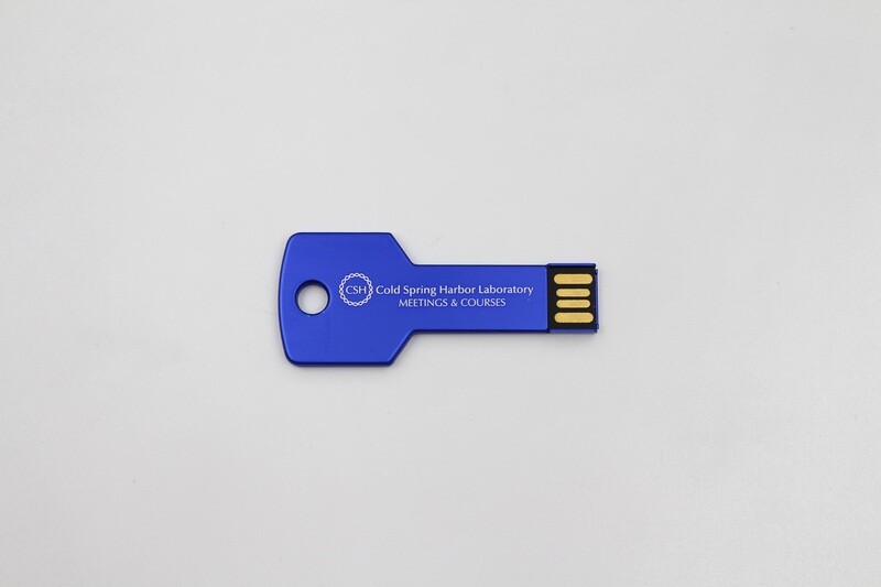 32 GB USB Key