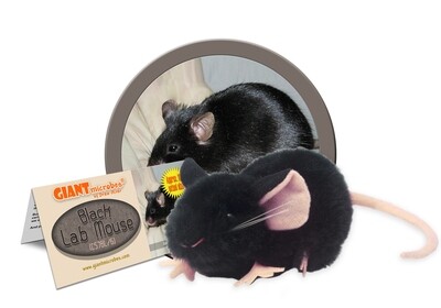 Giant M Toy - Black Lab Mouse