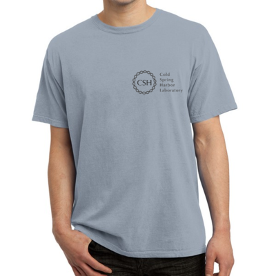 T-Shirt - Dove Grey