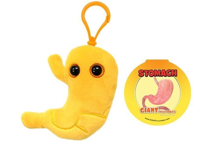 Giant Microbe KeyChain Stomach