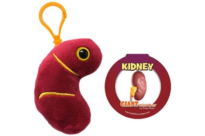 Giant Microbe KeyChain Kidney