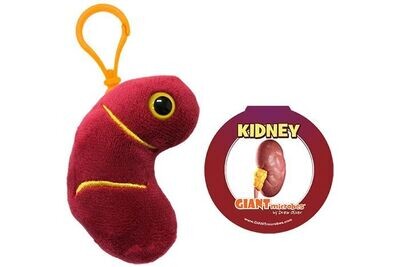 Giant Microbe KeyChain Kidney
