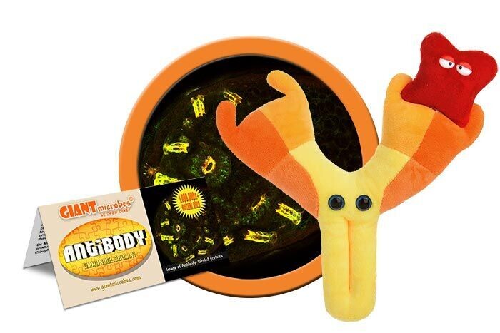 Giant M Toy - Antibody