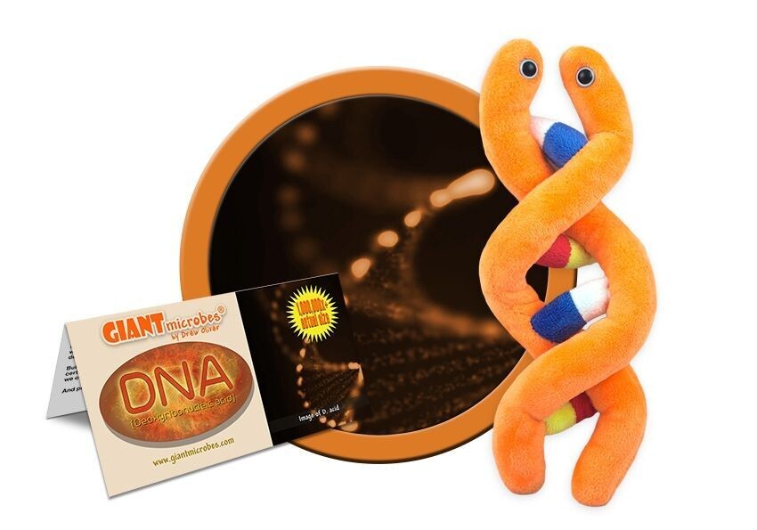 Giant M Toy - DNA