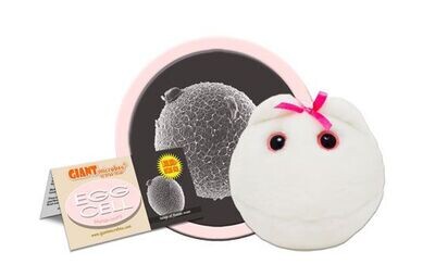 Giant M Toy - Egg Cell