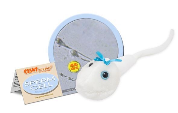 Giant M Toy - Sperm Cell