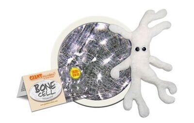 Giant M Toy - Bone Cell