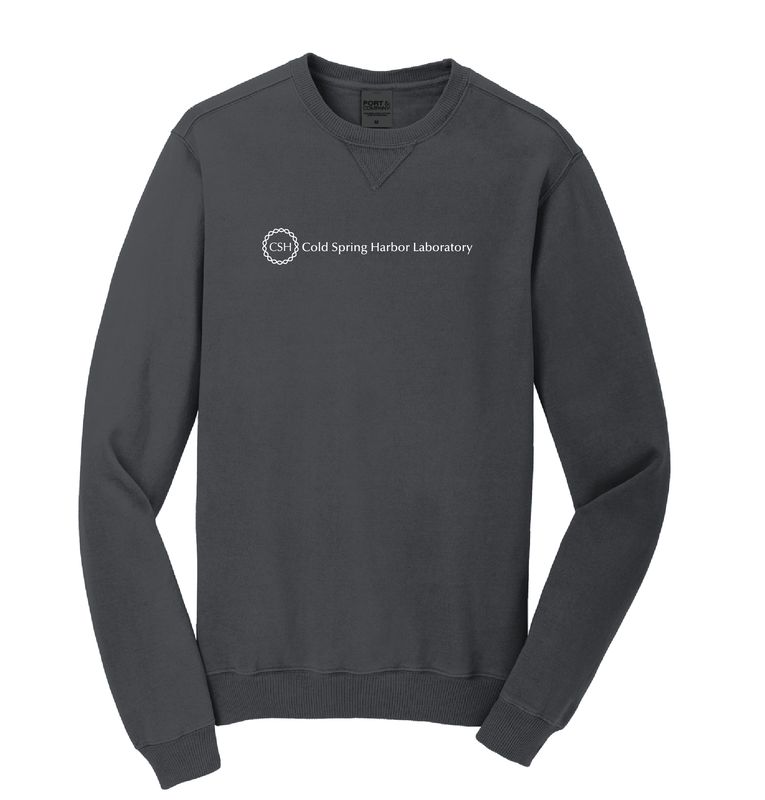 Adult Straight Line Logo Crewneck