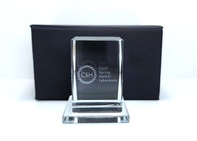 CSHL Logo Mini Crystal