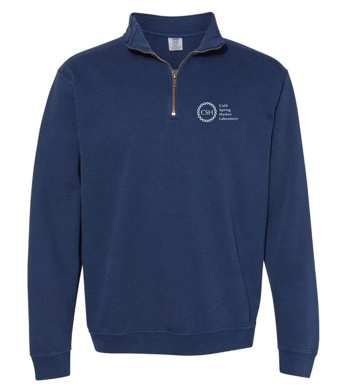 Adult Stacked Logo Quarterzip Sweatshirt