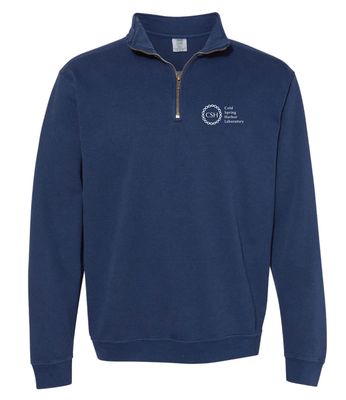Adult Stacked Logo Quarterzip Sweatshirt