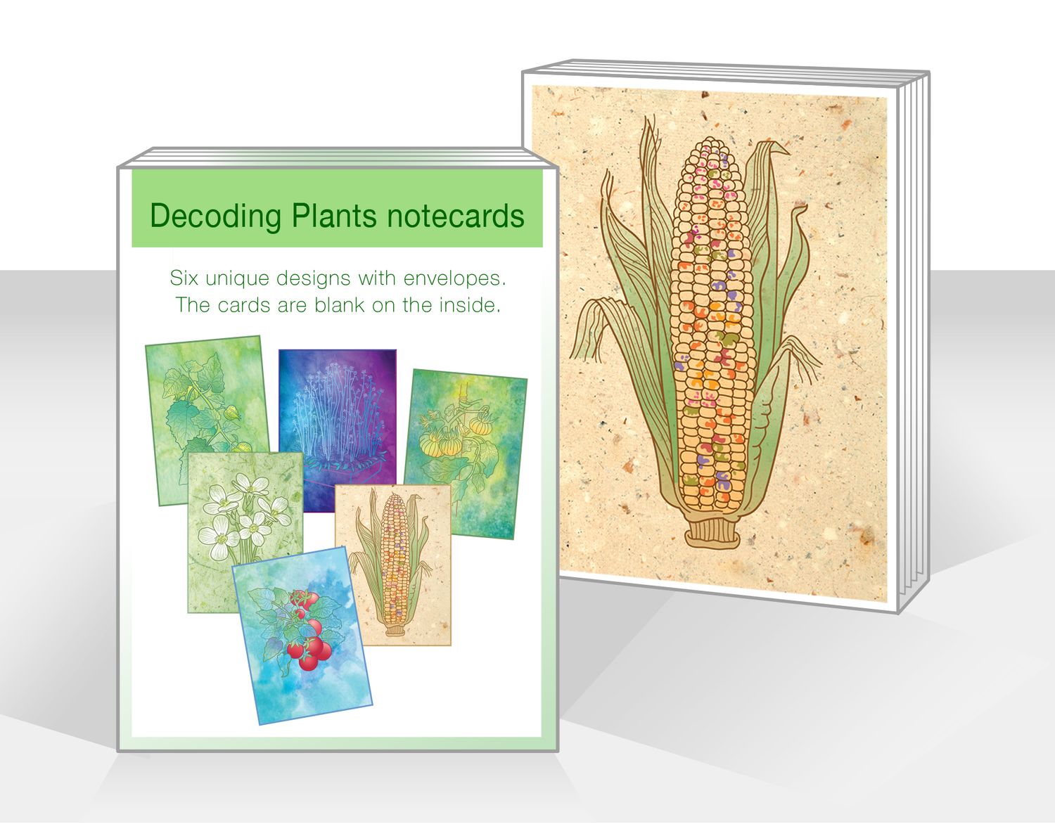 Decoding Plants Notecard Box Set