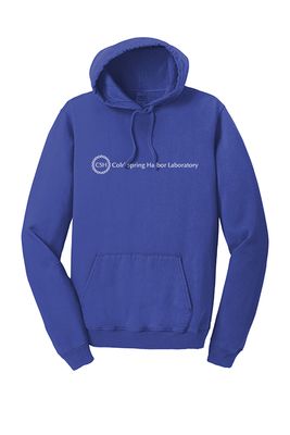 Adult Straight Line Logo Hoodie, Size: L, Color: Blue Iris