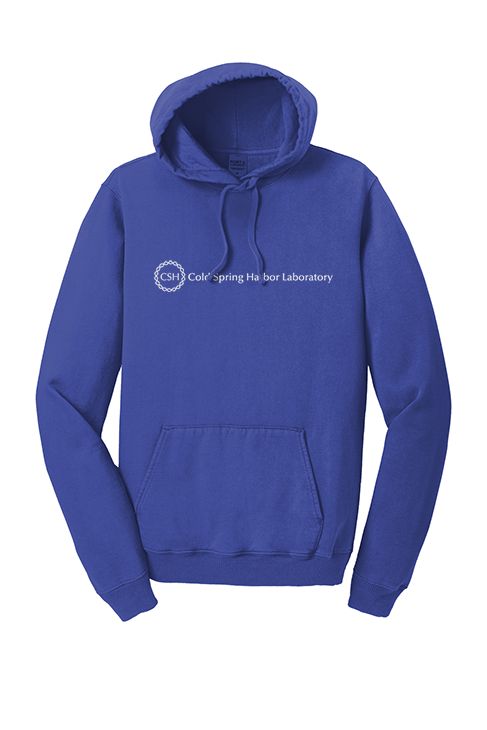 Adult Straight Line Logo Hoodie