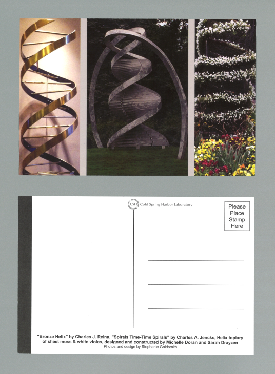 Postcards, Design: Helixes