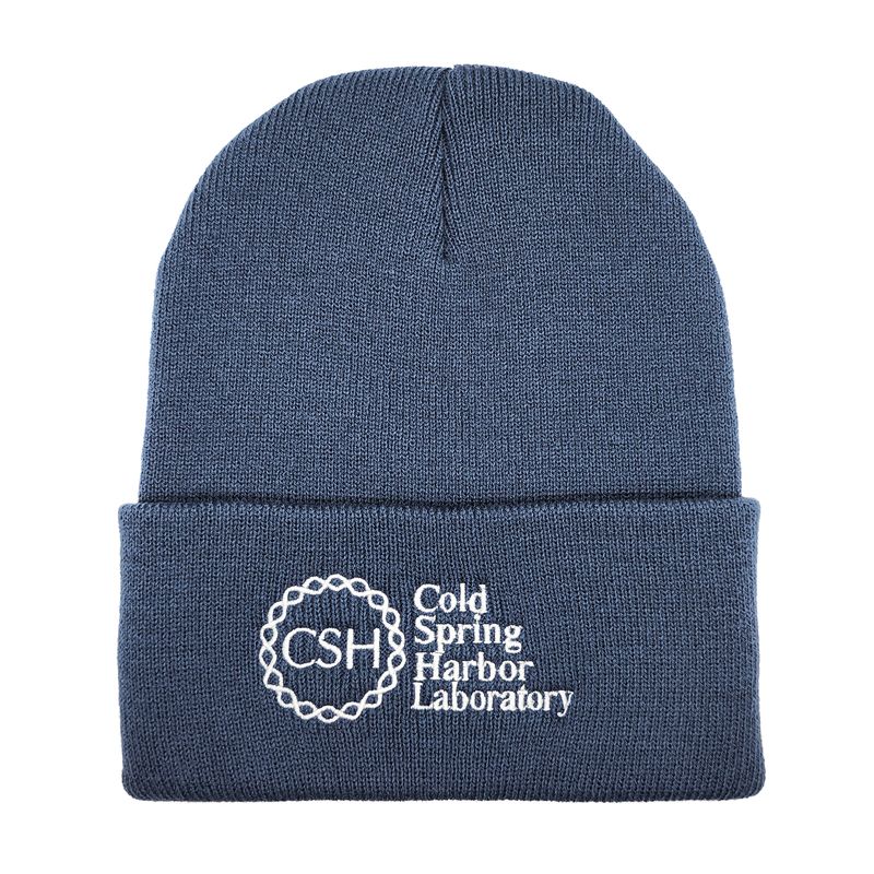 Knit Beanie