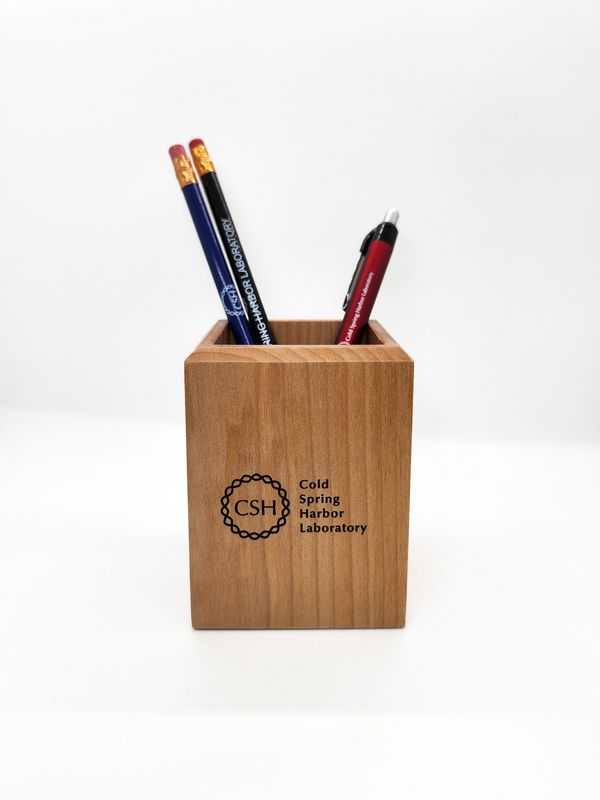 Wooden Pencil Holder