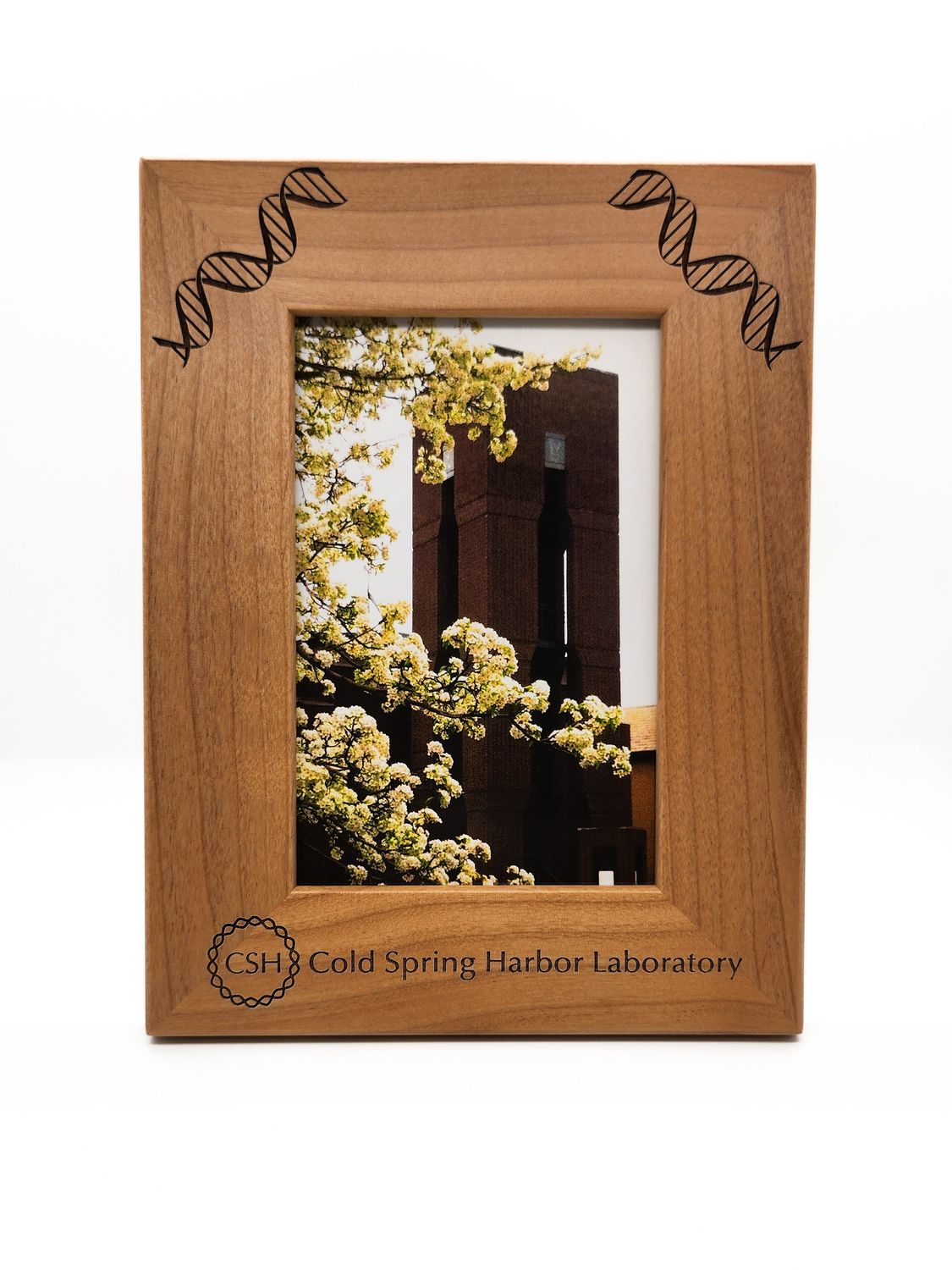 4&quot; x 6&quot; Wooden Frame