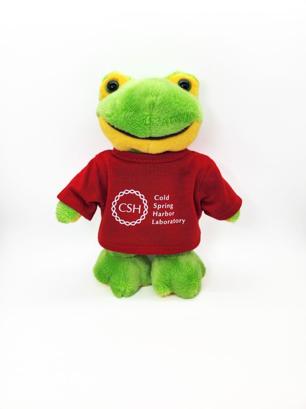 Logo Frog