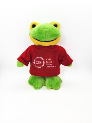 Logo Frog