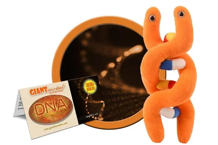 Giant Microbes Toys - Genetics, Item: DNA
