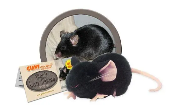 Giant Microbes Toys - Wildlife, Item: Black Lab Mouse