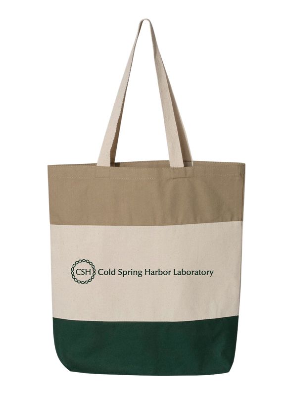 Tricolor Tote Bag
