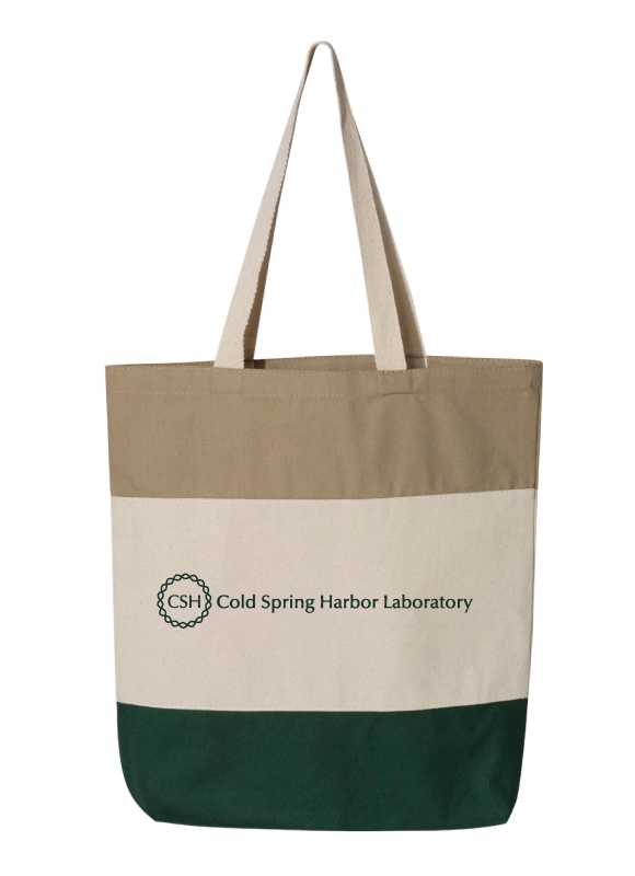 Tricolor Tote Bag, Color: Khaki &amp; Forest Green