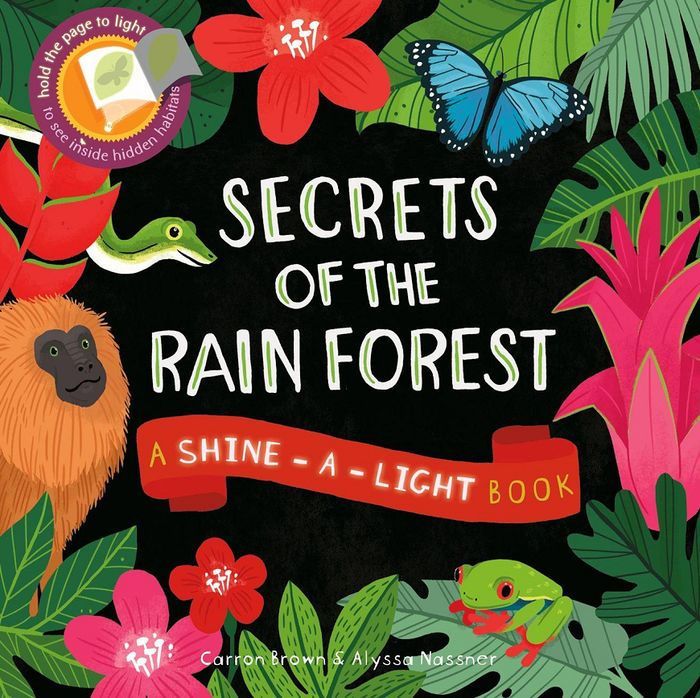 Shine-A-Light Secrets of the Rain Forest
