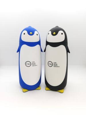 Penguin Bottle