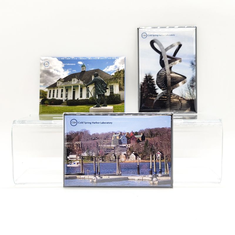 Campus Photo Magnets